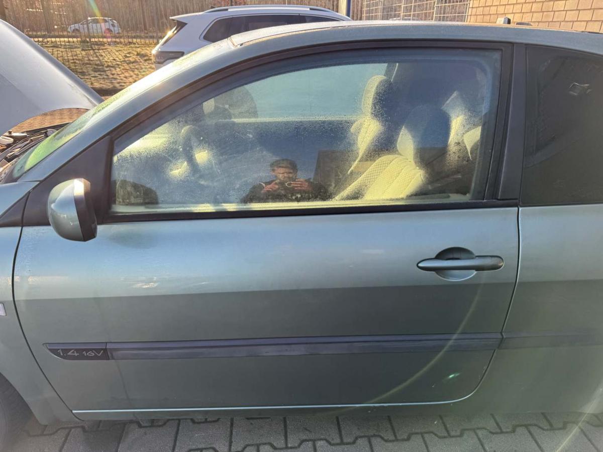 Renault Megane 2 original T&uuml;r links TED97 Gr&uuml;n 3-T&uuml;rer Rohbau Bj.2005